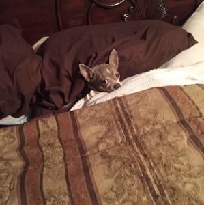 Meet your Posher, Tammy